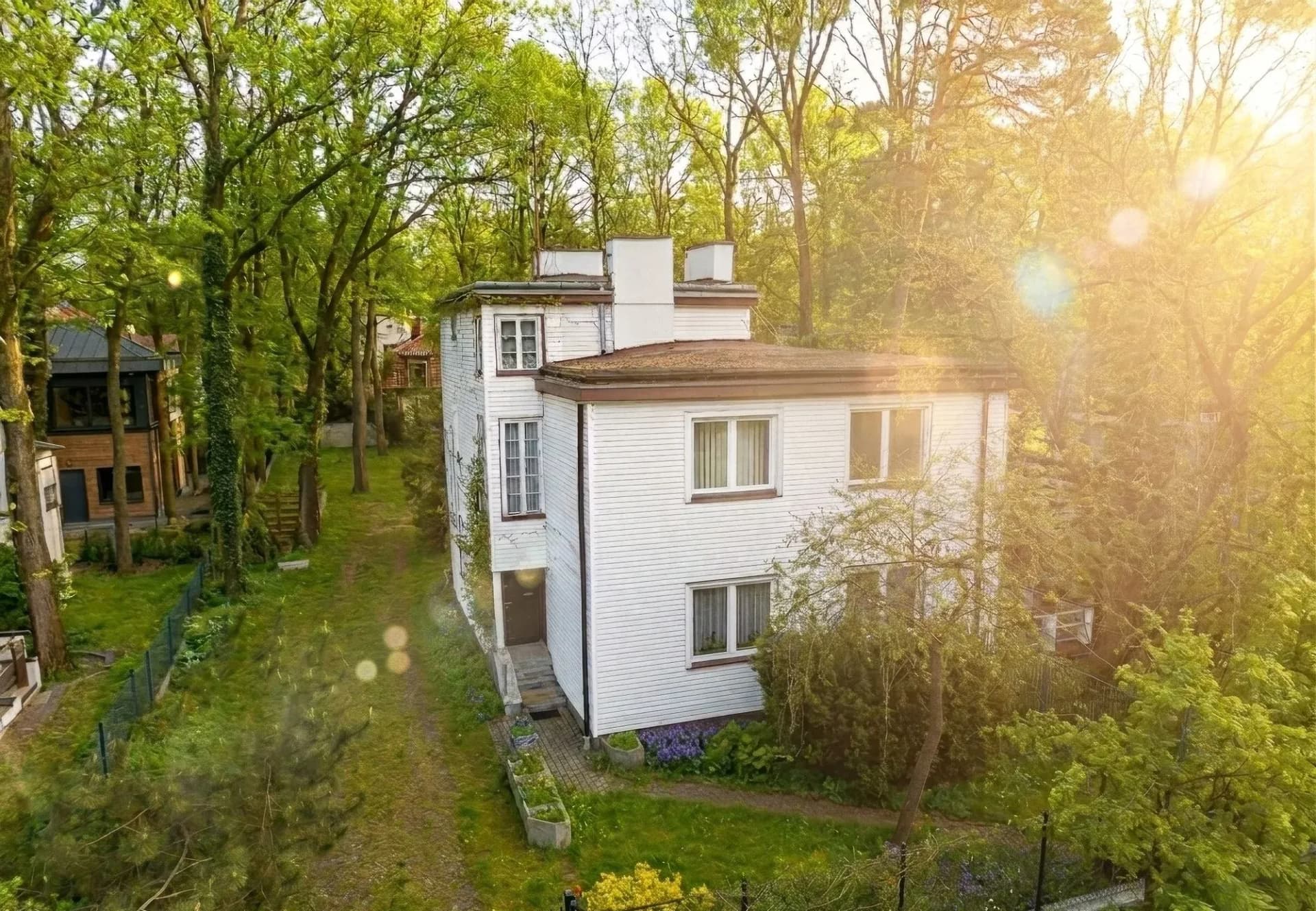 Perełka w Centrum Zielonego Anina - zdjęcie 2