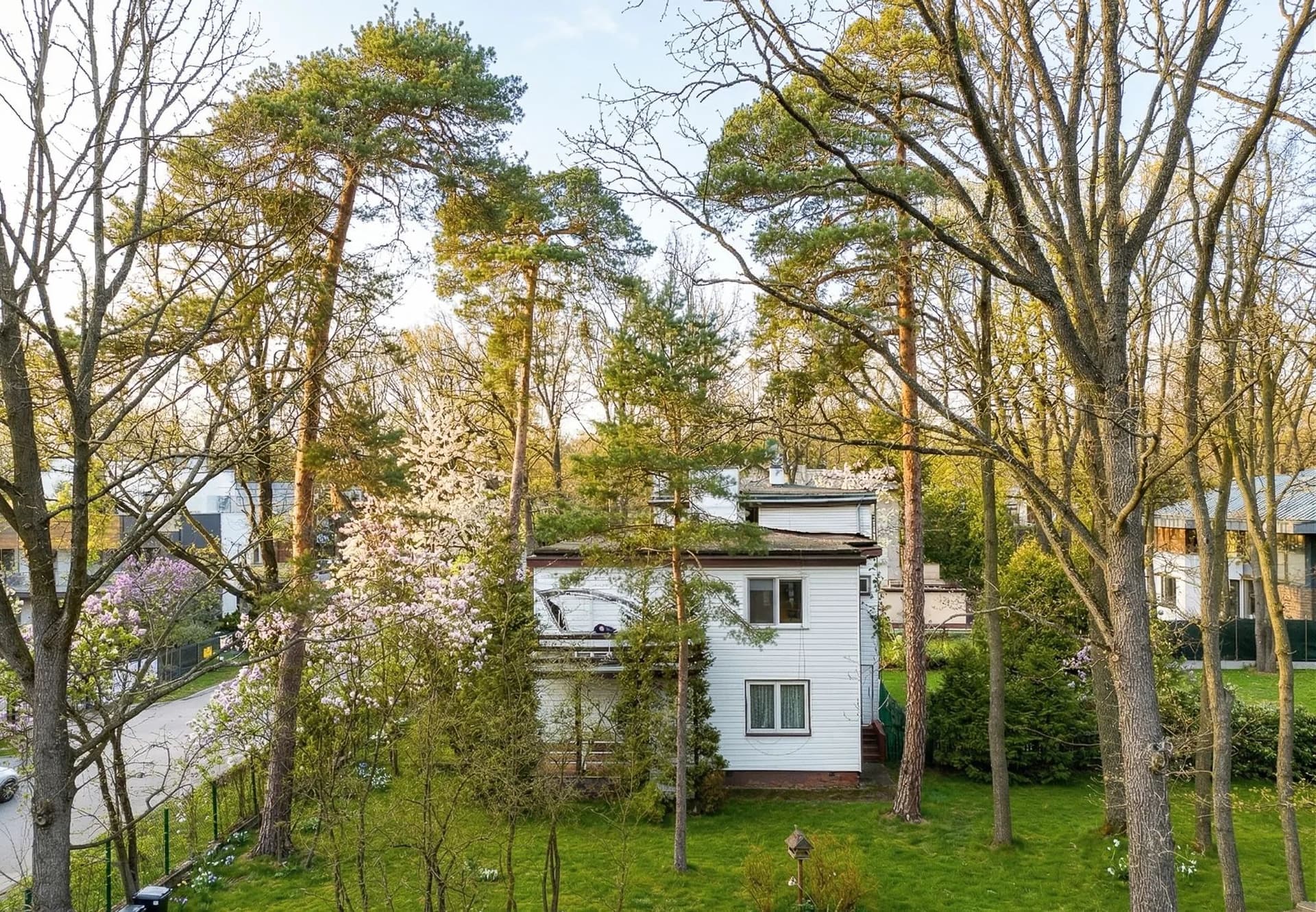 Perełka w Centrum Zielonego Anina - zdjęcie 3