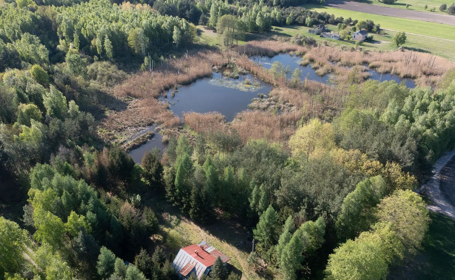 Siedlisko blisko Warszawy z domem, lasem oraz stawem, Oaza spokoju - zdjęcie 5
