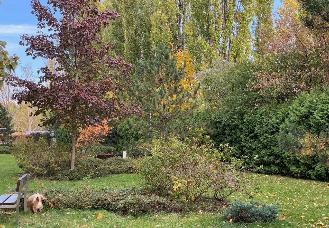 Trzypokojowe mieszkanie z ogródkiem i garażem - фото 14