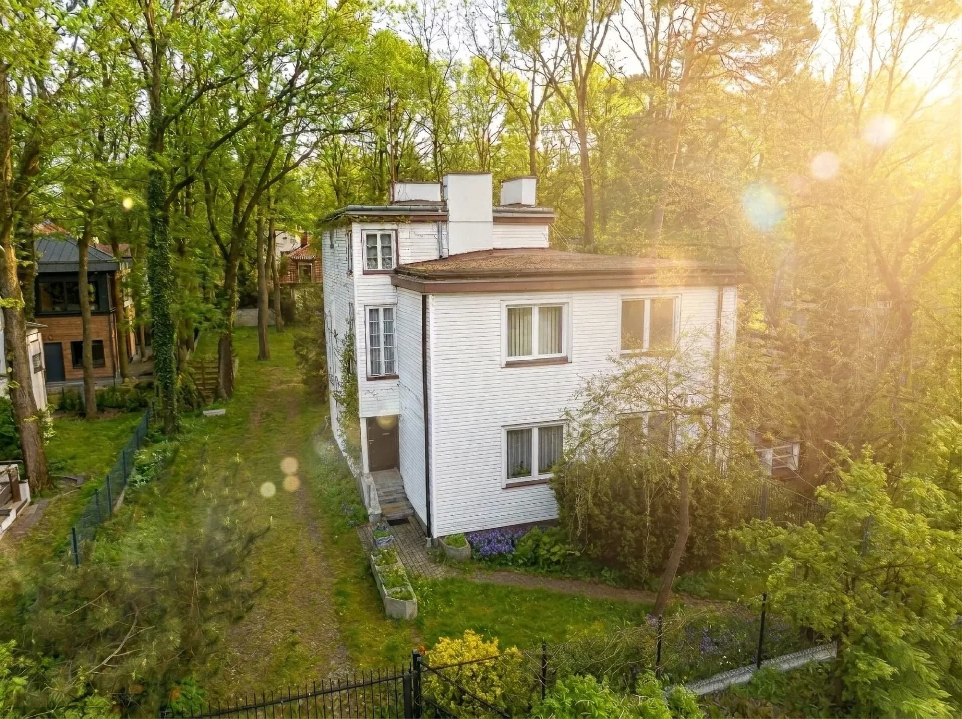 Perełka w Centrum Zielonego Anina